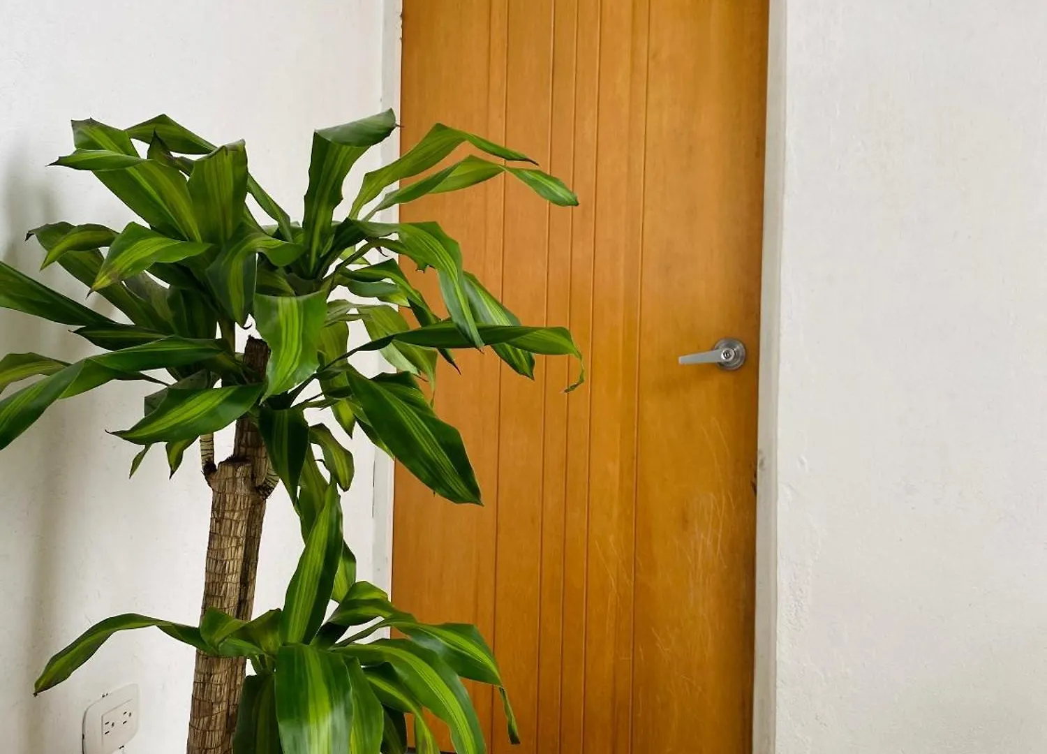 Hostel Bogota Kings Πανσιόν